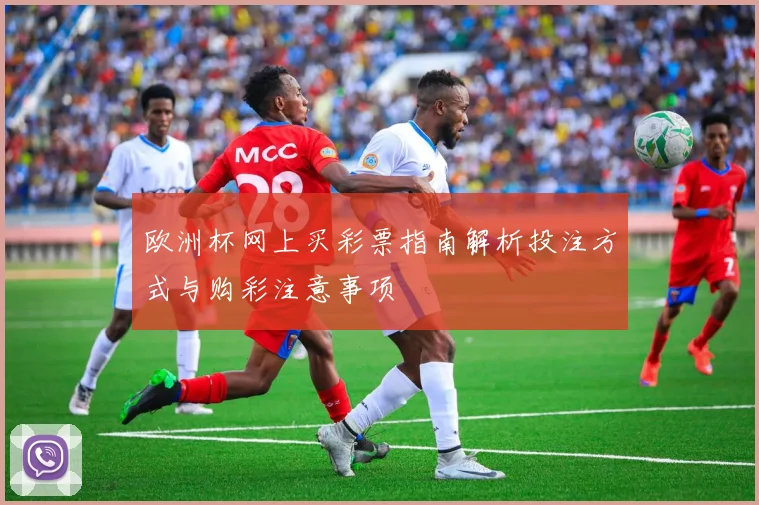 欧洲杯网上买彩票指南解析投注方式与购彩注意事项