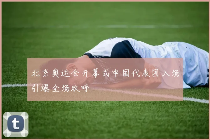 北京奥运会开幕式中国代表团入场引爆全场欢呼