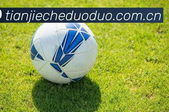 App Interface Preview